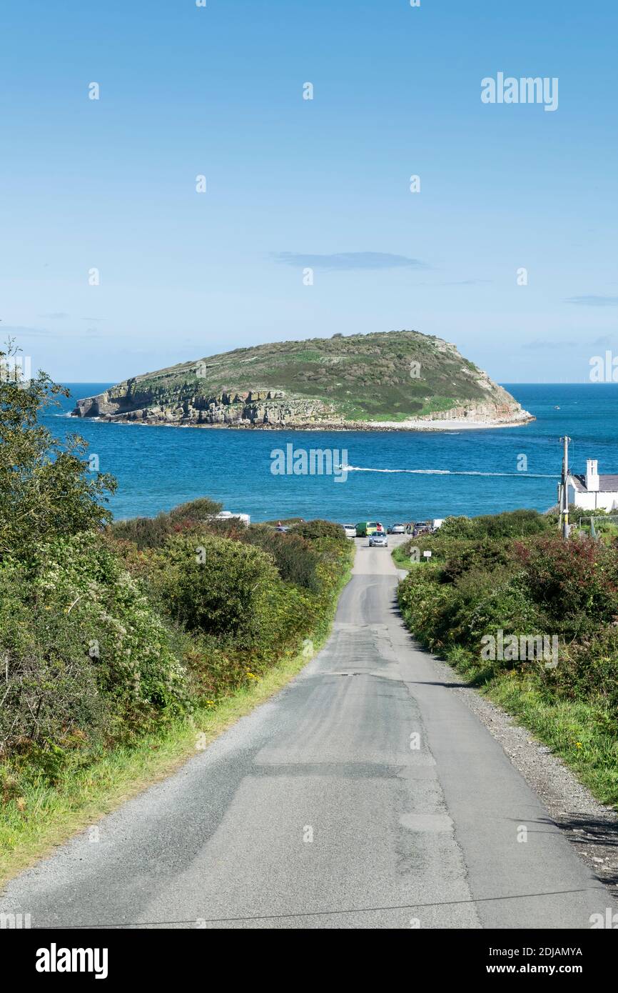 Puffin Island oder Ynys Seiriol der Küste von Anglesey Nordwales, Großbritannien Stockfoto