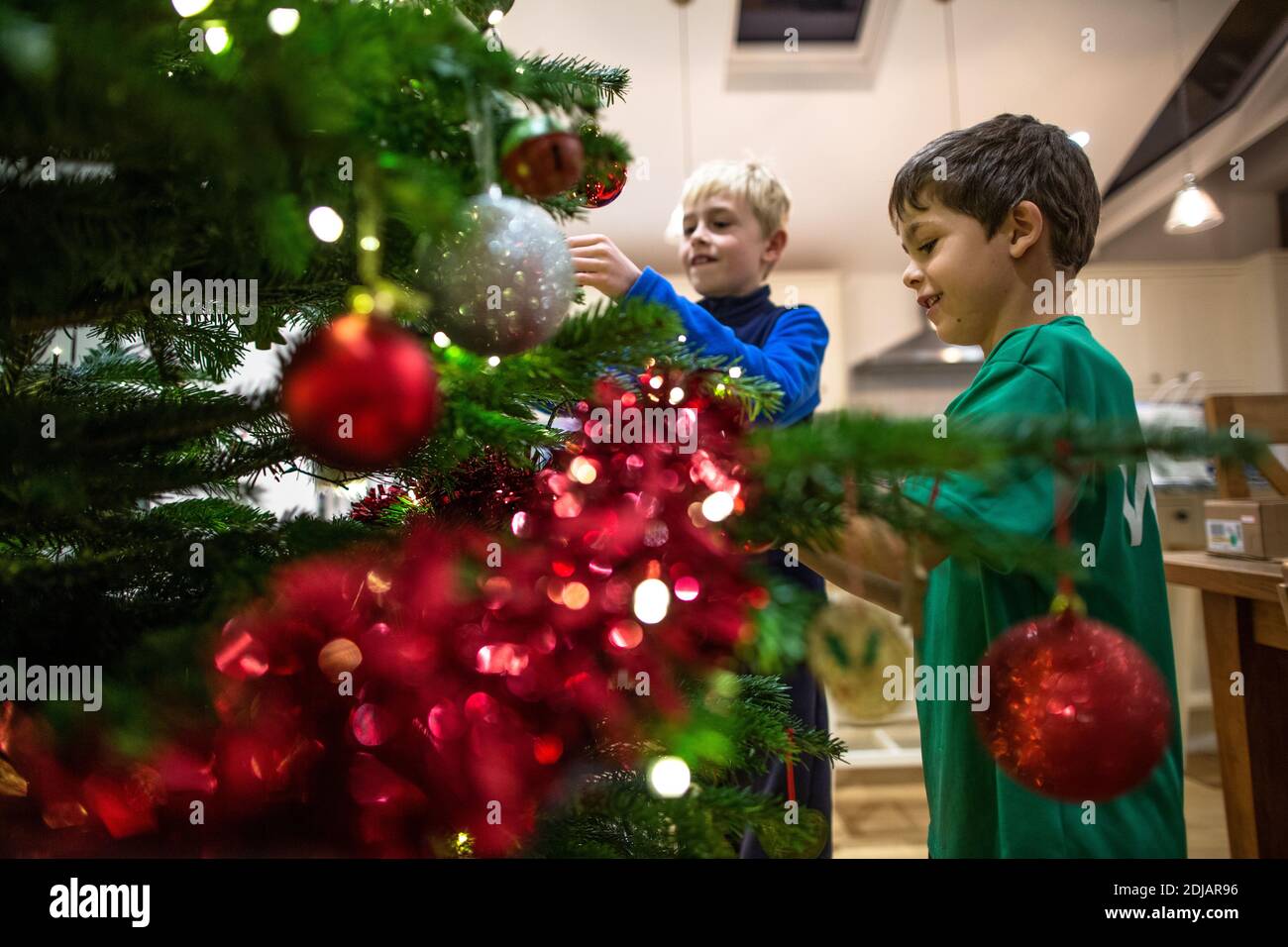 Familie zu Hause dekorieren ihren Weihnachtsbaum vor der Weihnachtszeit, Großbritannien Stockfoto