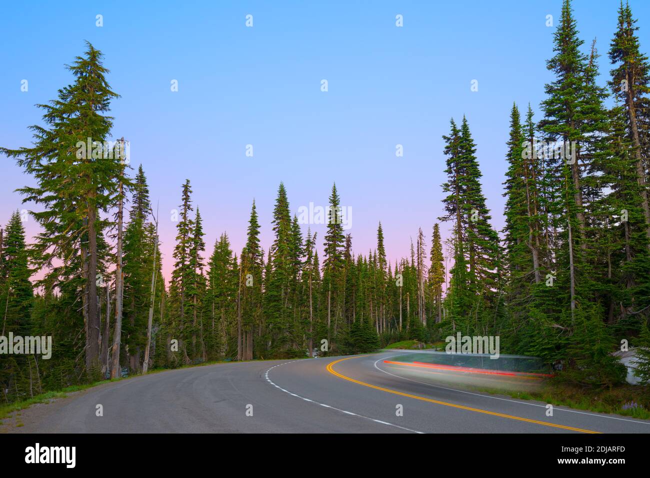 Straße im Mount Rainier National Park, Washington State, Vereinigte Staaten Stockfoto