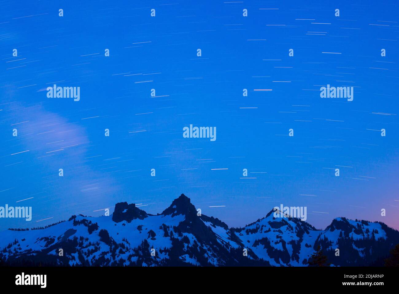 Sternwege im Mount Rainer National Park, Washington State, USA Stockfoto