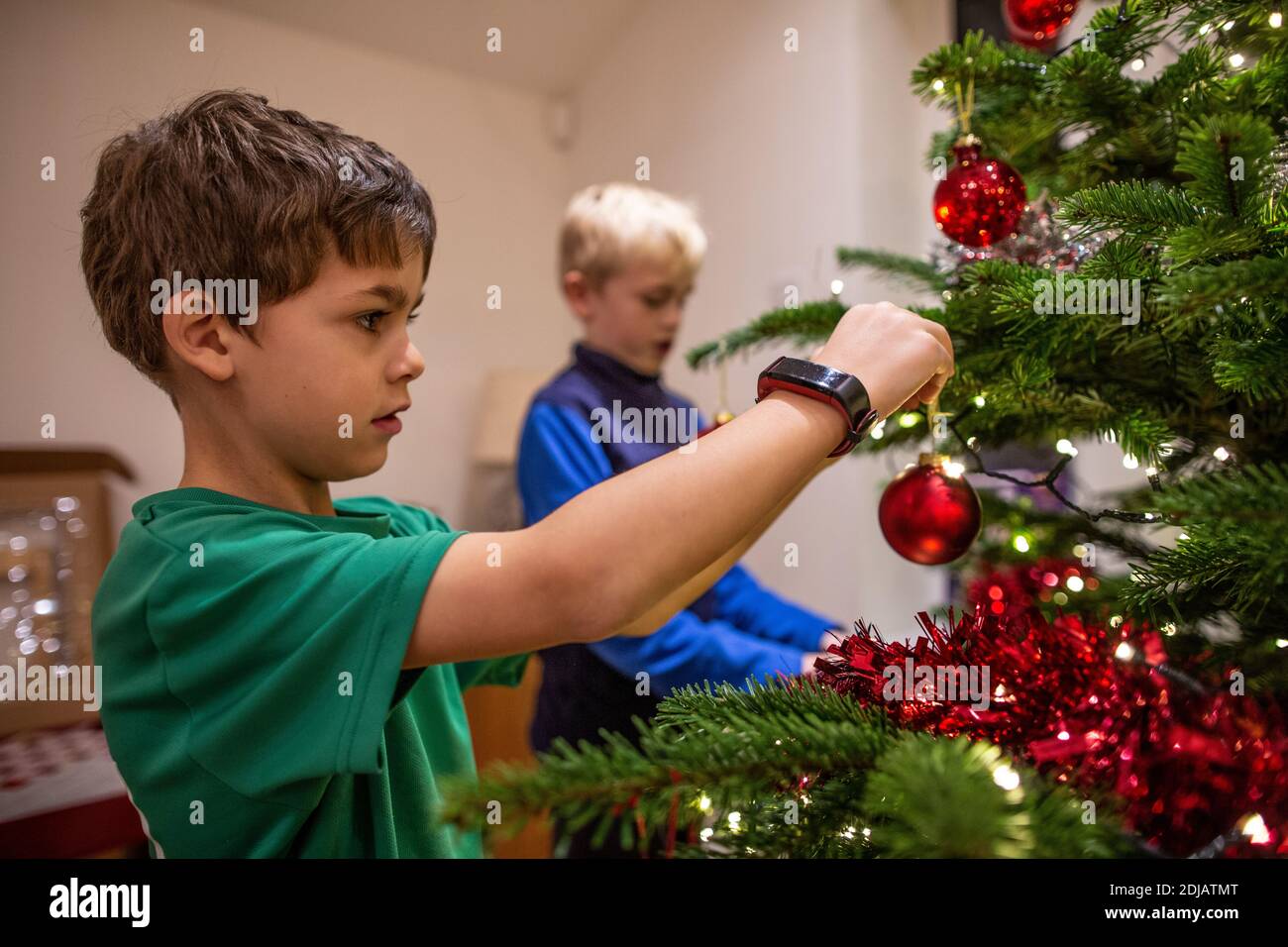 Familie zu Hause dekorieren ihren Weihnachtsbaum vor der Weihnachtszeit, Großbritannien Stockfoto