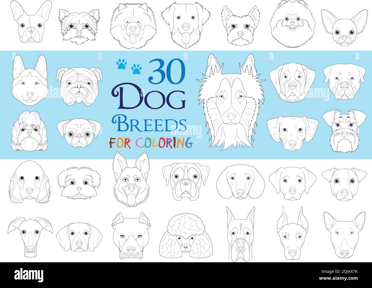 Hunderassen Sammlung Band 1: Set von 30 verschiedenen Hunderassen für die Färbung in Cartoon-Stil. Stock Vektor