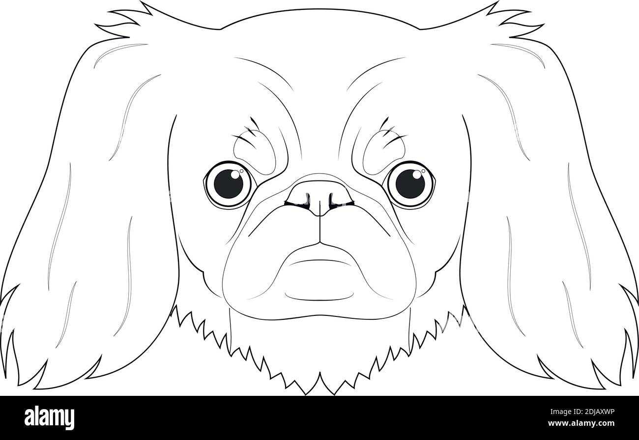 Pekingese Hund einfache Färbung Cartoon Vektor Illustration. Isoliert auf weißem Hintergrund Stock Vektor