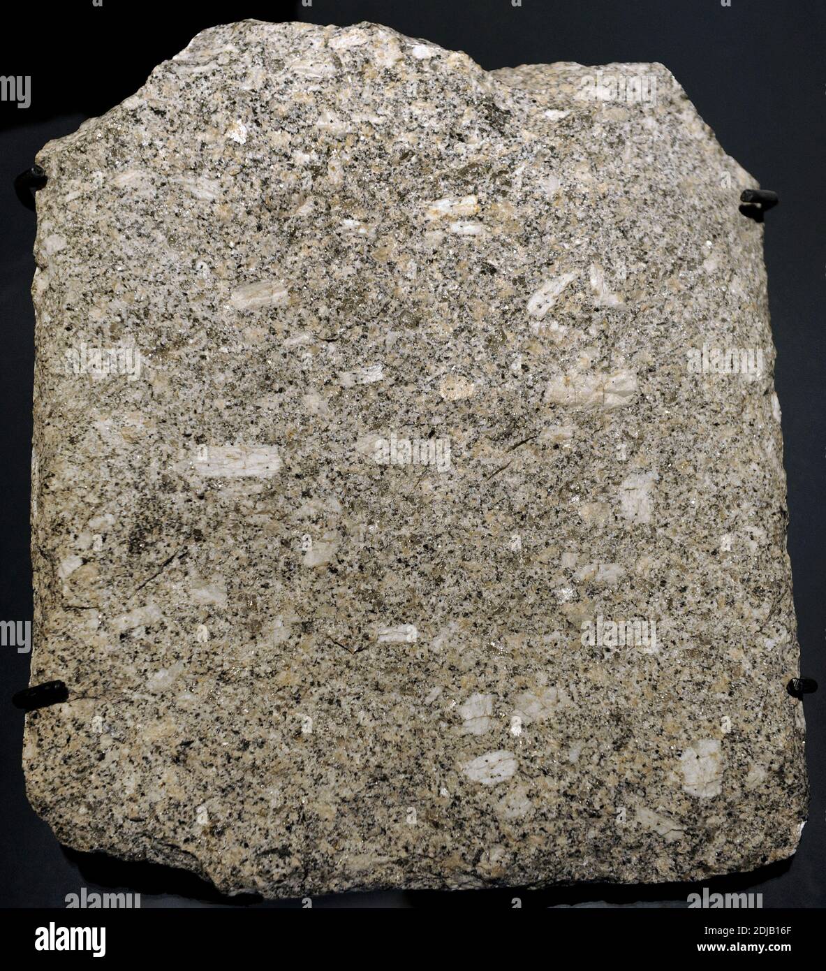 Granit. Grobkörniges ignees Gestein, das hauptsächlich aus Quarz, Alkali-Feldspat und Plagioklase besteht. Fragment aus Schneeberg, Deutschland. Naturhistorisches Museum, Berlin, Deutschland. Stockfoto
