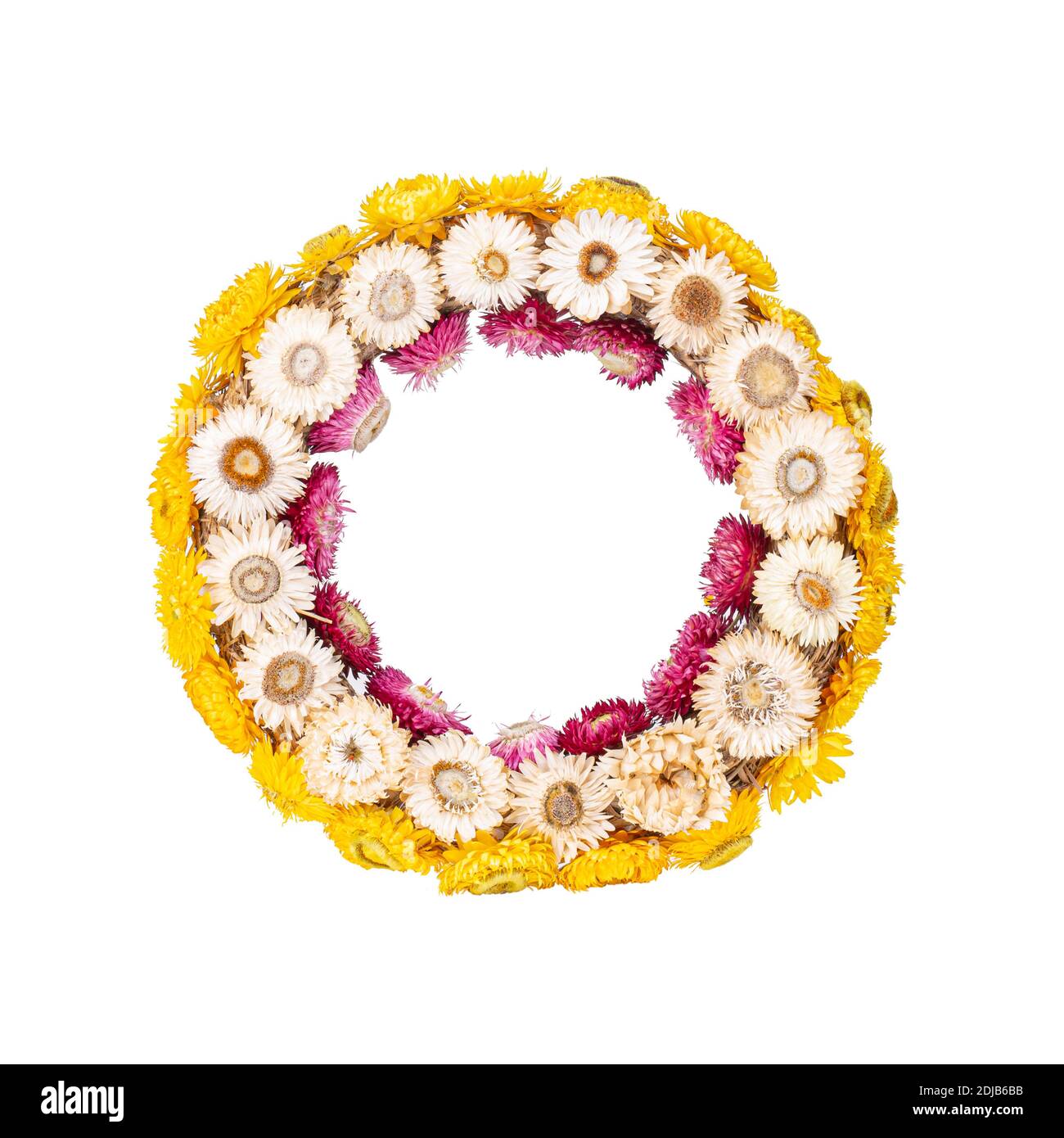 Kranz aus Strohblume Stockfoto
