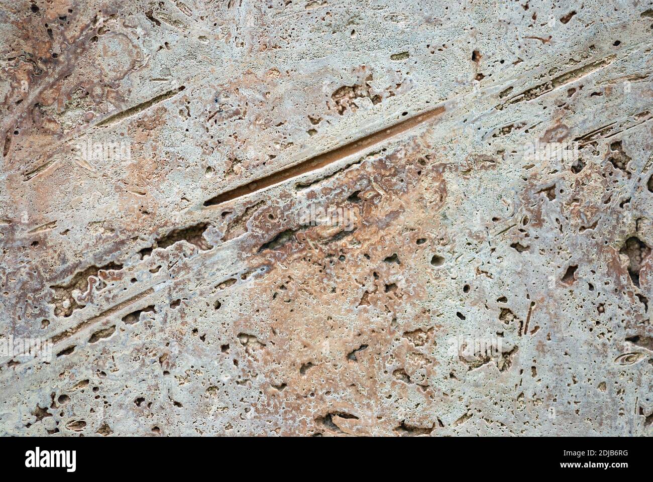 Natürliche beigefarbene Steinstruktur - geschnittenes Süßwasser-Kalkstein (Travertin, italienischer gebänderter Marmor, Kalk-Tuffstein) Stockfoto