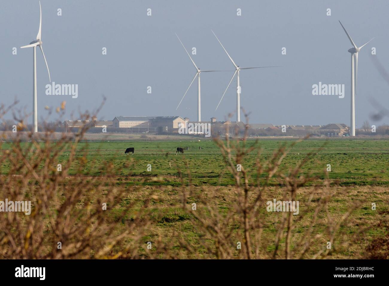 Elmley, Kent, Großbritannien. Dezember 2020. Ein Blick auf den Sheppey Prison Cluster in der Ferne über die Elmley Sümpfe auf der Isle of Sheppey in Swale, Kent. Einige aktuelle Nachrichten haben spekuliert Sheppey 3 Gefängnisse könnten das Epizentrum der immer höher werdenden Covid-Rate im Südosten sein - da die Swale-Gegend die Heimat vieler Pendler nach London ist - und könnte ein Katalysator für London sein, der auf "Tier 3" aufsteigt. Kredit: James Bell/Alamy Live Nachrichten Stockfoto