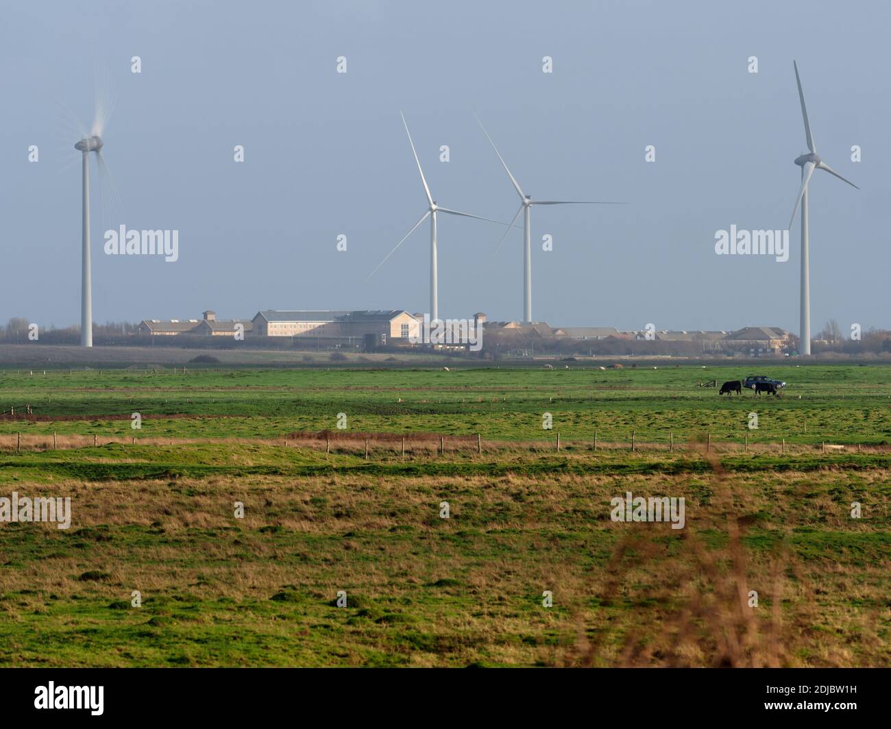 Elmley, Kent, Großbritannien. Dezember 2020. Ein Blick auf den Sheppey Prison Cluster in der Ferne über die Elmley Sümpfe auf der Isle of Sheppey in Swale, Kent. Einige aktuelle Nachrichten haben spekuliert Sheppey 3 Gefängnisse könnten das Epizentrum der immer höher werdenden Covid-Rate im Südosten sein - da die Swale-Gegend die Heimat vieler Pendler nach London ist - und könnte ein Katalysator für London sein, der auf "Tier 3" aufsteigt. Kredit: James Bell/Alamy Live Nachrichten Stockfoto