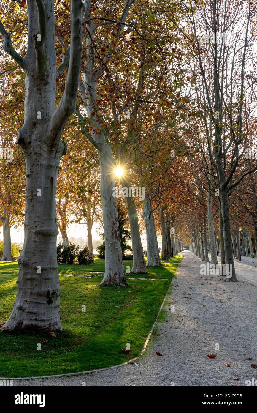 Tagóra Promenade in Balatonfüred neben dem Plattensee bunten Herbst Stockfoto