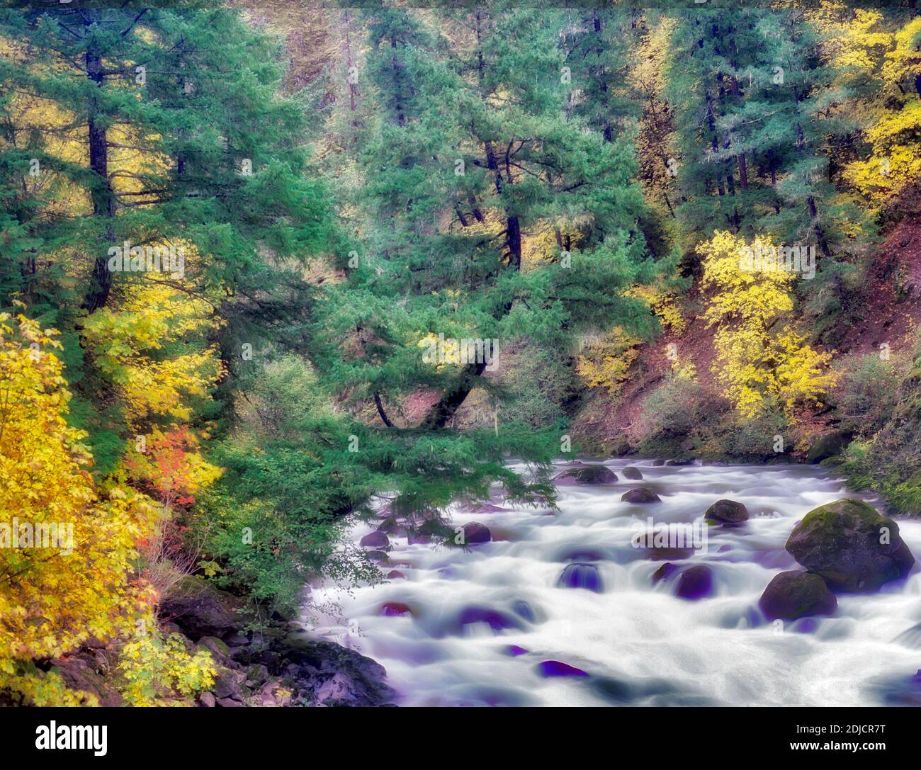 Nordgabel der Mittelgabel Willamette River mit Herbstfarbe. Aufderheide National Scenic Byway. Oregon. Stockfoto