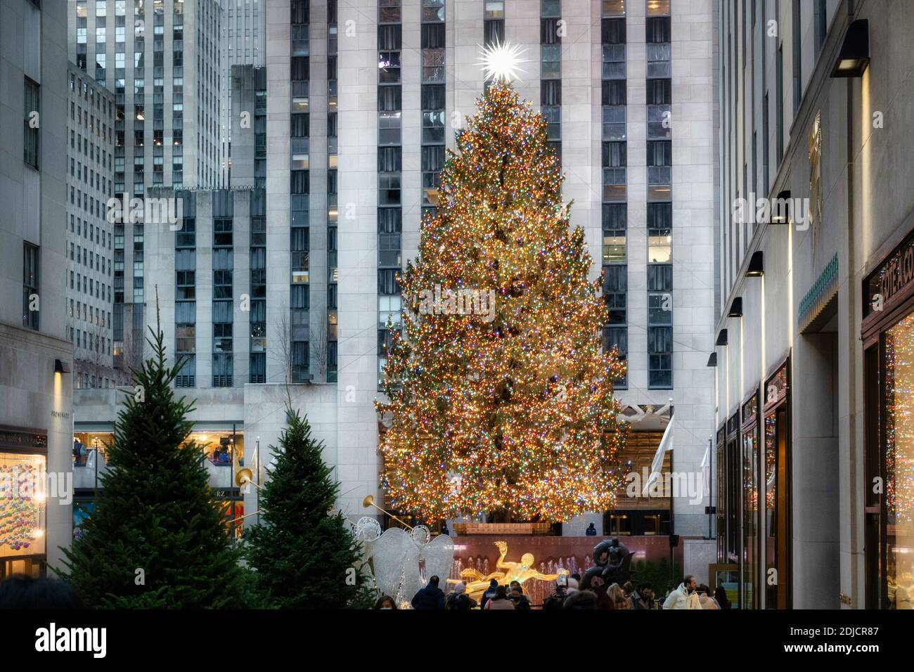 The Rockefeller Center Christmas Tree, 2020, NYC, USA Stockfoto