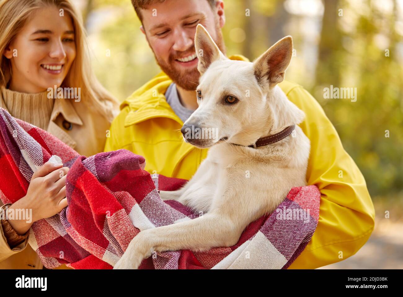 Portrait von schönen Hund in den Händen von Paar im Wald, während des Spaziergangs. Glückliche Besitzer des Hundes lieben es, Zeit mit Hund zu verbringen Stockfoto Portrait von schönen Hund in den Händen von Paar im Wald, während des Spaziergangs. Glückliche Besitzer des Hundes lieben es, Zeit mit Hund zu verbringen Stockfoto