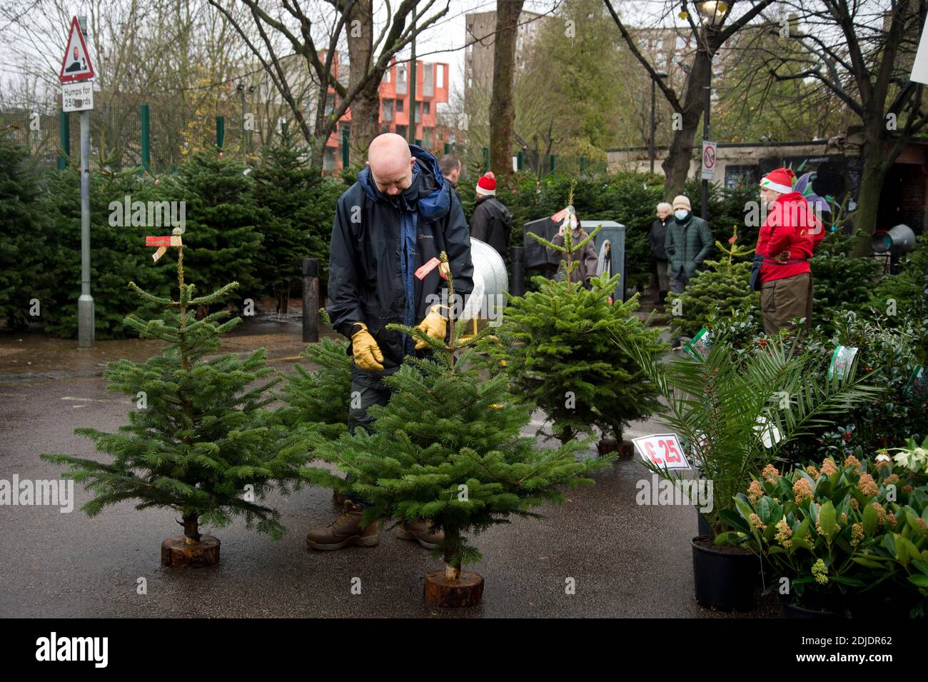 London Dezember 2020. Columbia Road, Tower Hamlets. Sonntäglicher Blumenmarkt. Verkauf von Weihnachtsbäumen. Stockfoto