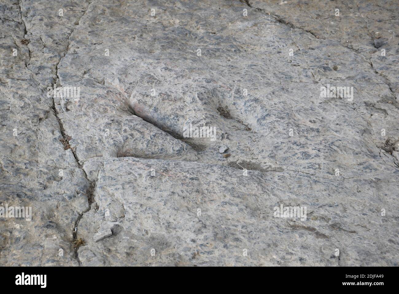 Theropod Dinosaurier Icnite in Enciso. La Rioja. Stockfoto