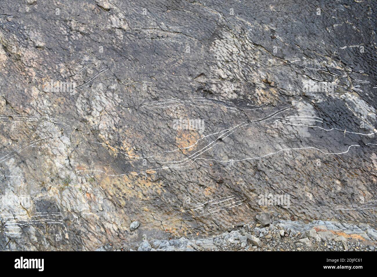 Spuren in Ichnit, die vom Goniopholis-Dinosaurier hinterlassen wurden. Icnite-Website (Dinosaurier-Fußabdrücke) La Virgen del Campo, Enciso. Stockfoto