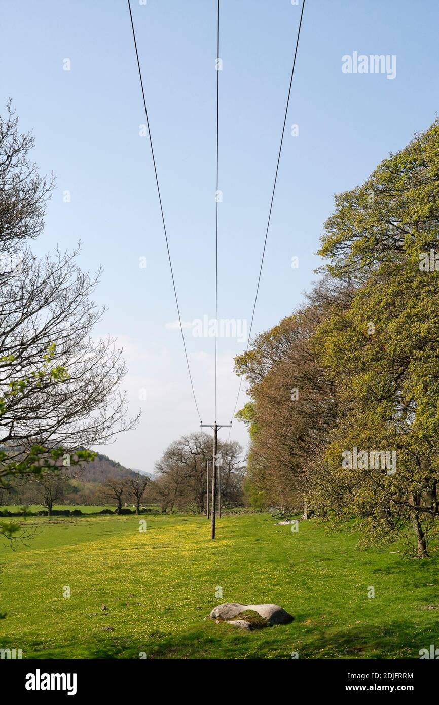 Freileitungen in einem ländlichen Gebiet in Derbyshire, England. Stromversorgung auf dem Land Stockfoto