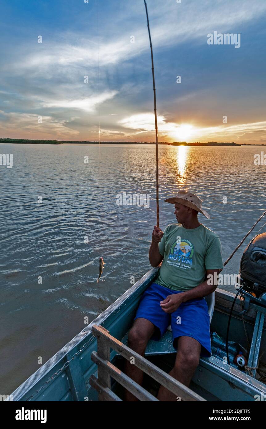 Ein brasilianischer Angler hooks einen Yellow-Belly Piranha in seinem Boot, als die Sonne über dem Mutum River in der weltweit größten Feuchtgebiete, dem Pantanal in Braz untergeht Stockfoto