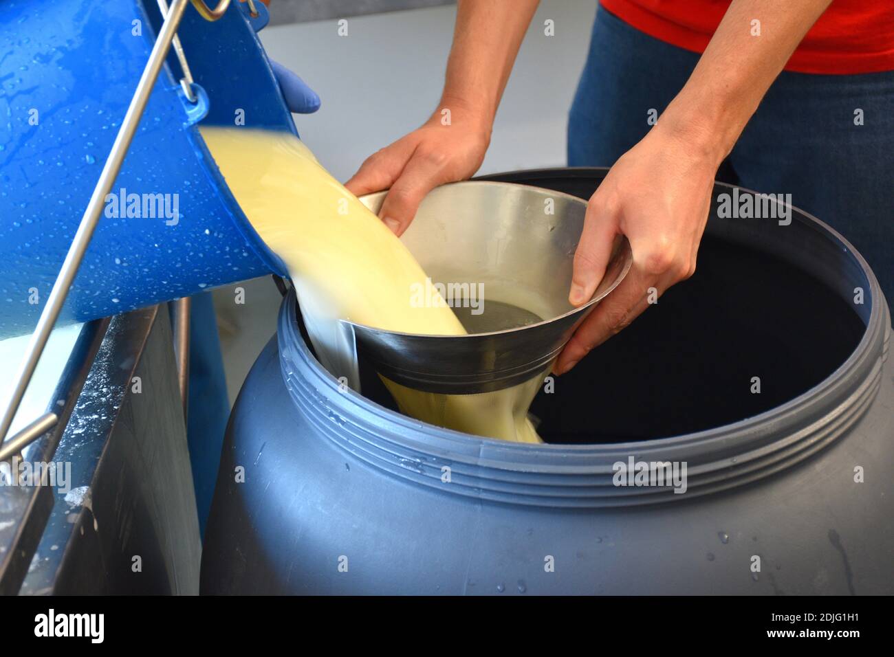 Aufgabe, die Molke von Hand aus dem Quark zu entfernen. Käseherstellung. Stockfoto