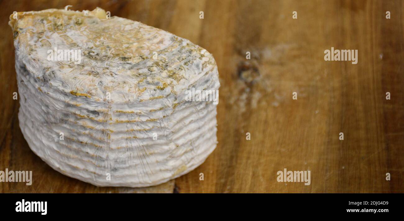 Halber Ziegenkäse auf Holzbrett. Käseherstellung. Stockfoto