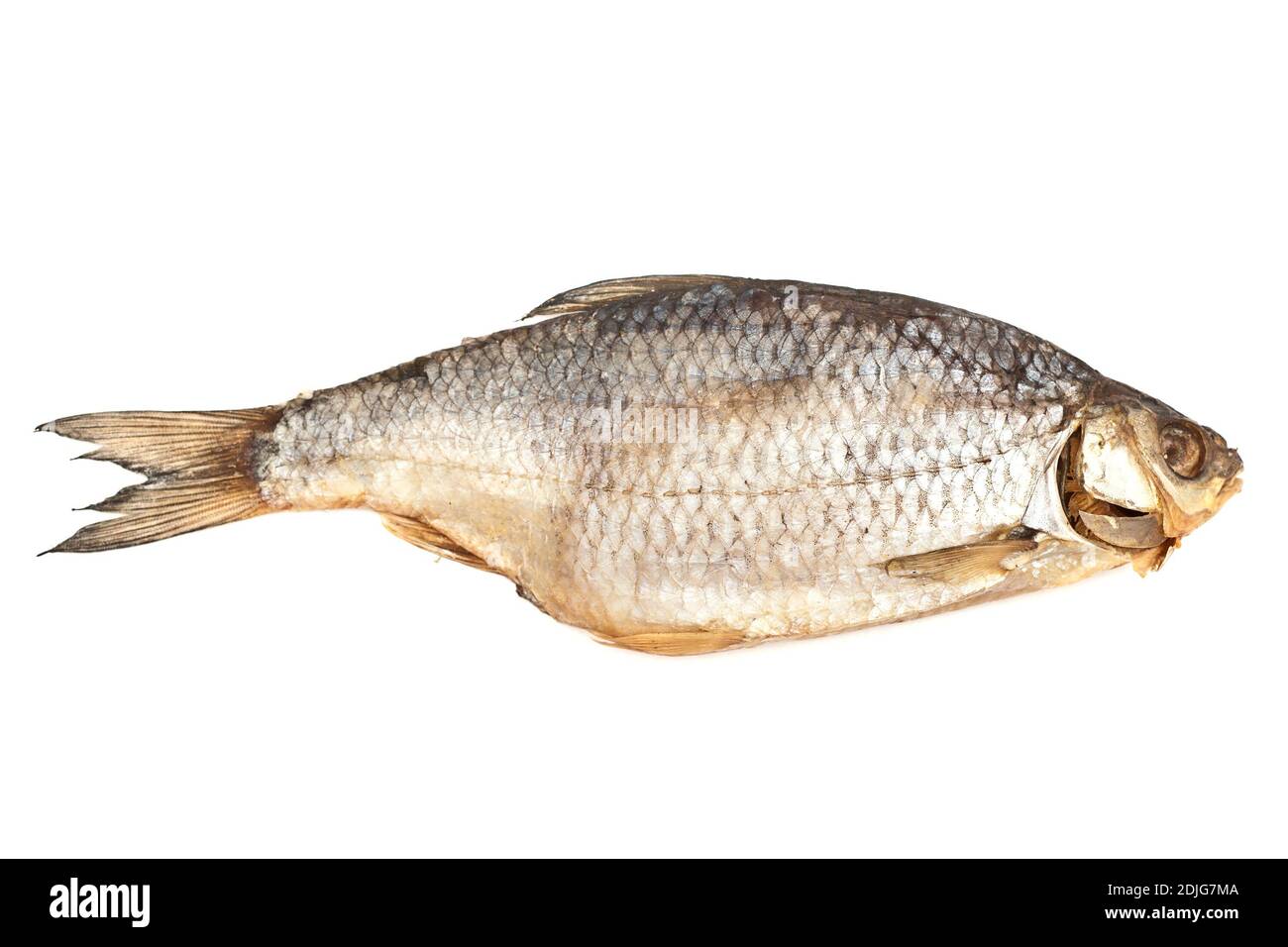 Gesalzener Fisch isoliert auf weißem Hintergrund Stockfoto