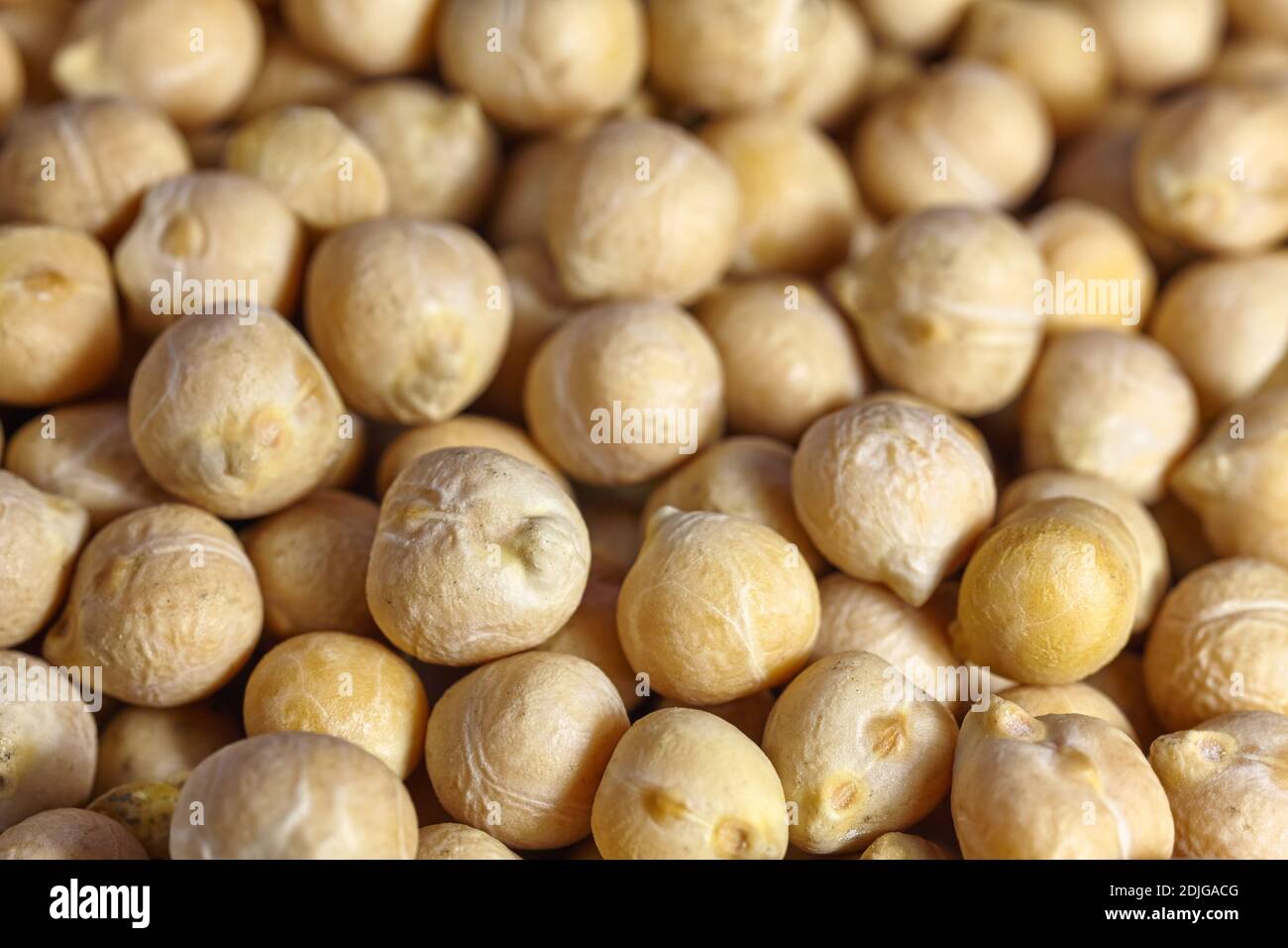 Nahaufnahme von Kichererbsen, geringe Schärfentiefe. Stockfoto