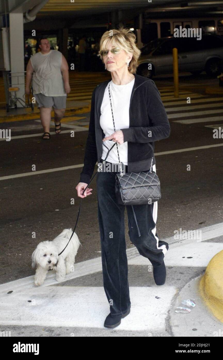 Exklusiv!! Oscar-Preisträgerin Jane Fonda (68) kommt mit ihrem Hund Tulea am Miami Dade College auf dem Wolfson Campus an, um ihr meistverkauftes Buch "Mein Leben bisher" zu promoten. Offensichtlich war Tulea erleichtert, die erste verfügbare Palme zu sehen und in Abwesenheit eines pooper scooper Fonda entfernte den Beweis mit einem weißen Taschentuch. Miami, Florida. 22/06 Stockfoto