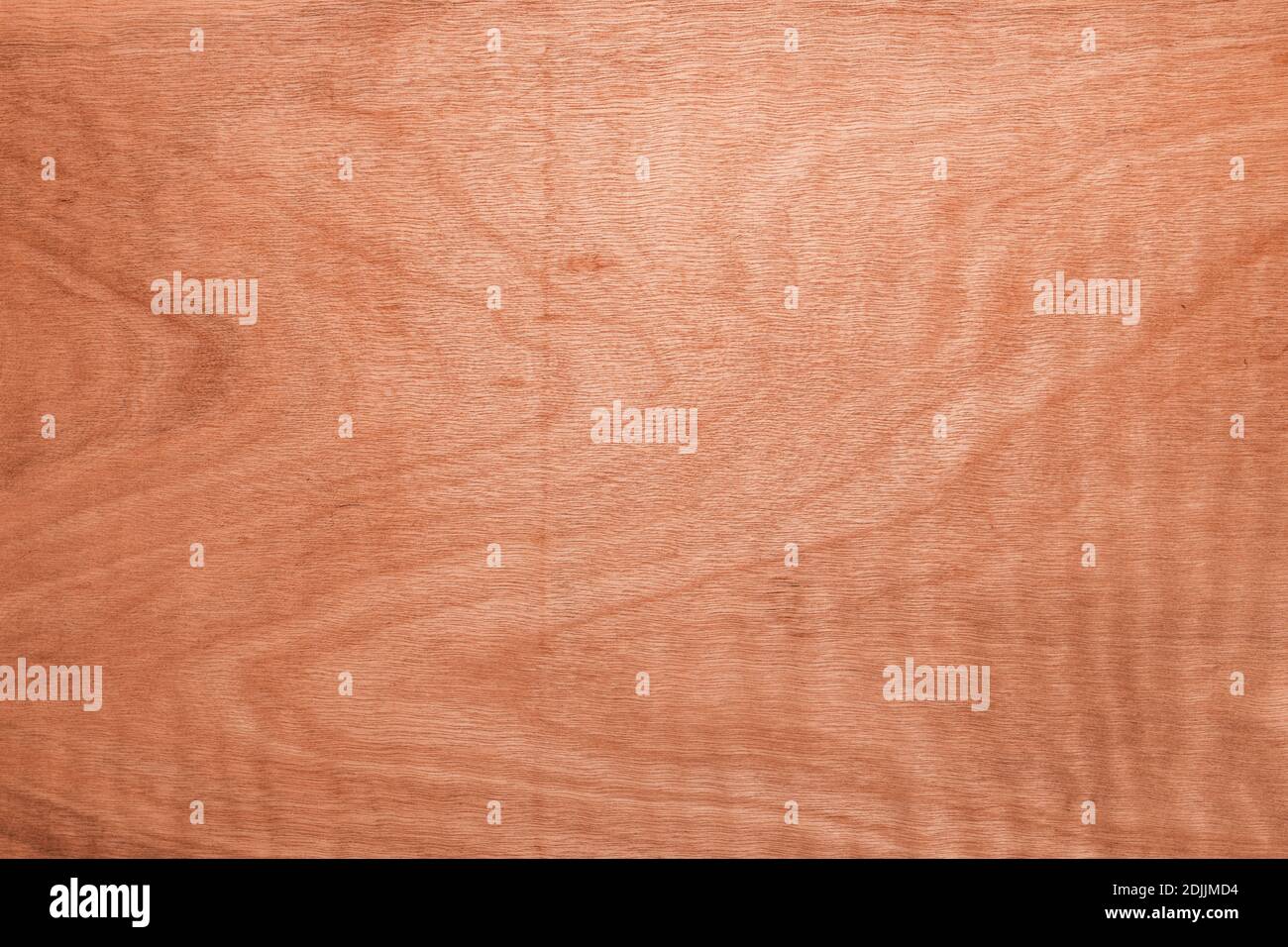 Sperrholz Oberflächenstruktur, Holzbrett als Hintergrund Stockfoto
