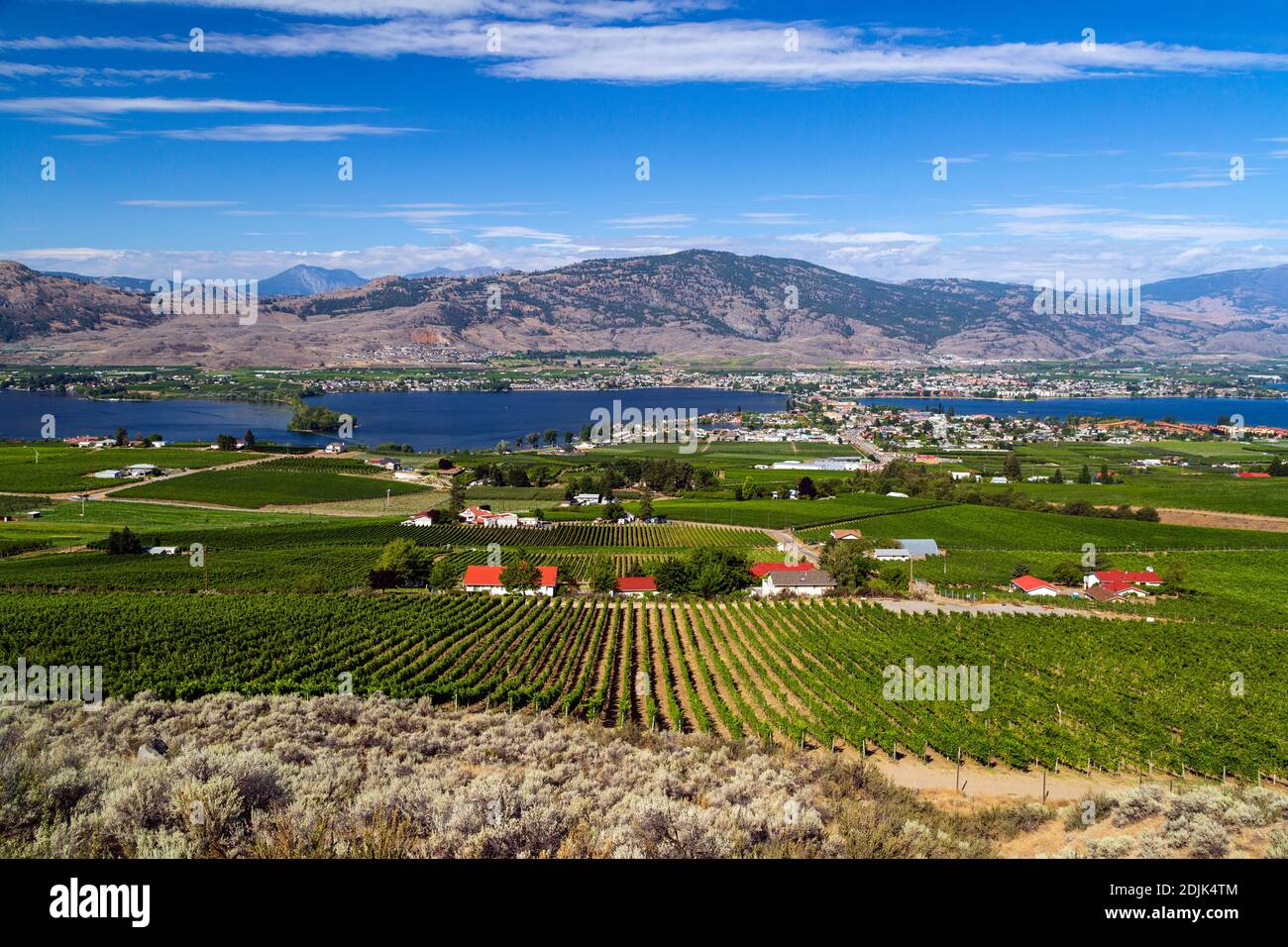 Blick auf die kleine Stadt Osoyoos und den Osoyoos See im Okanagan Valley, British Columbia, Kanada. Stockfoto