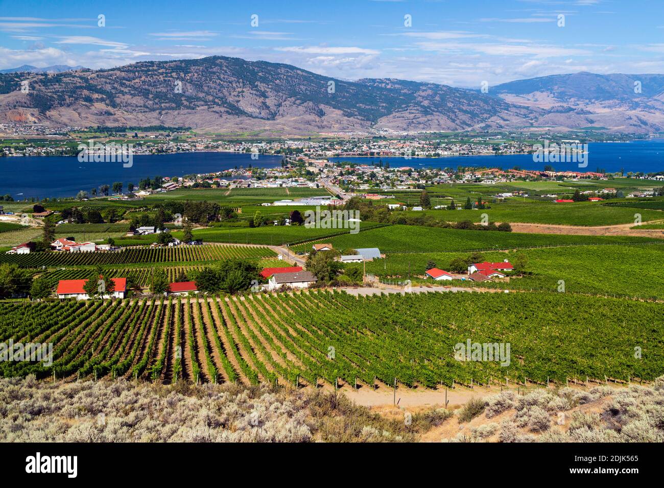 Blick auf die kleine Stadt Osoyoos und den Osoyoos See im Okanagan Valley, British Columbia, Kanada. Stockfoto