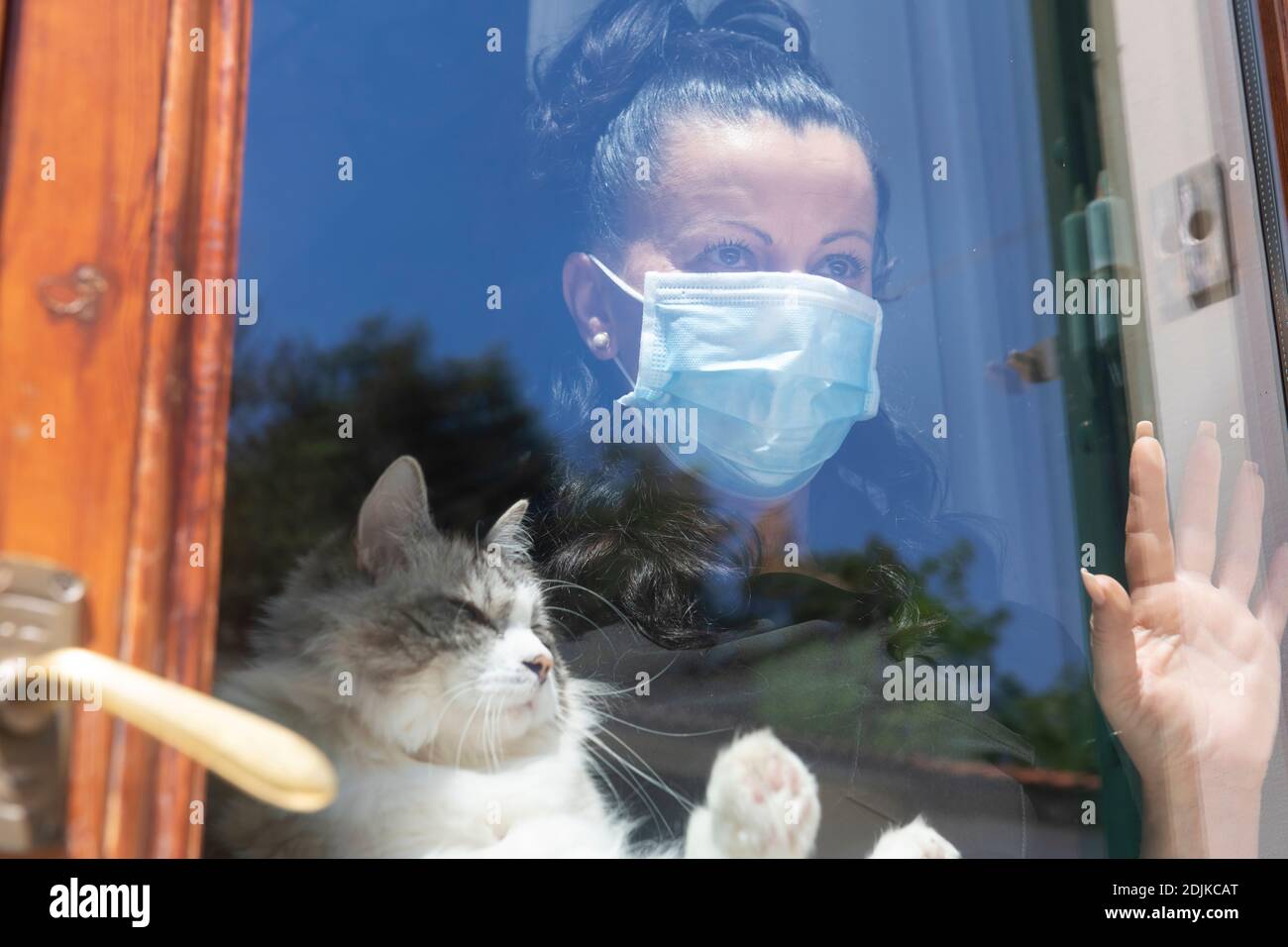 Frau, die eine Katze hinter einem Fenster mit einem Covid-19 hält Gesichtsschutzmaske Stockfoto