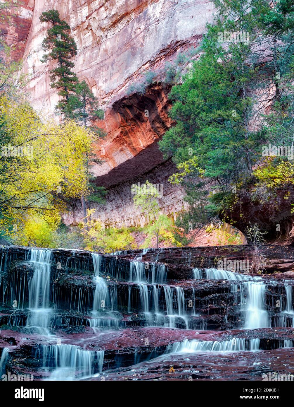 Erzengel-Wasserfälle und Herbstfarben. Abzweigung links des North Creek. Zion Nationalpark, Utah. Stockfoto