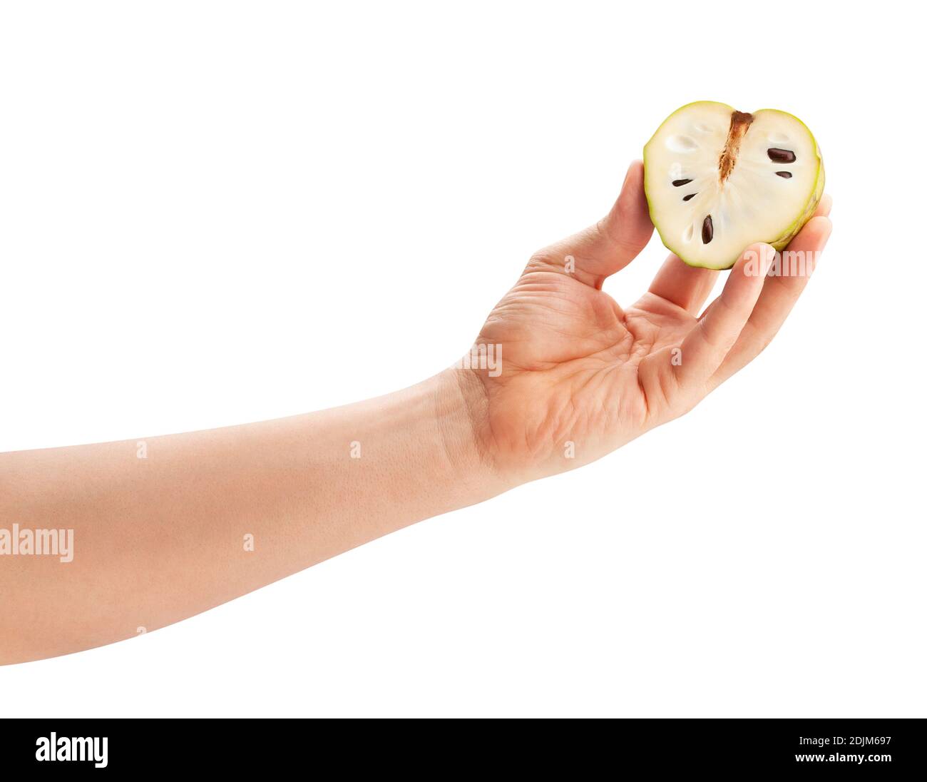 Geschnittener Cherimoya Pfad isoliert auf weiß Stockfoto