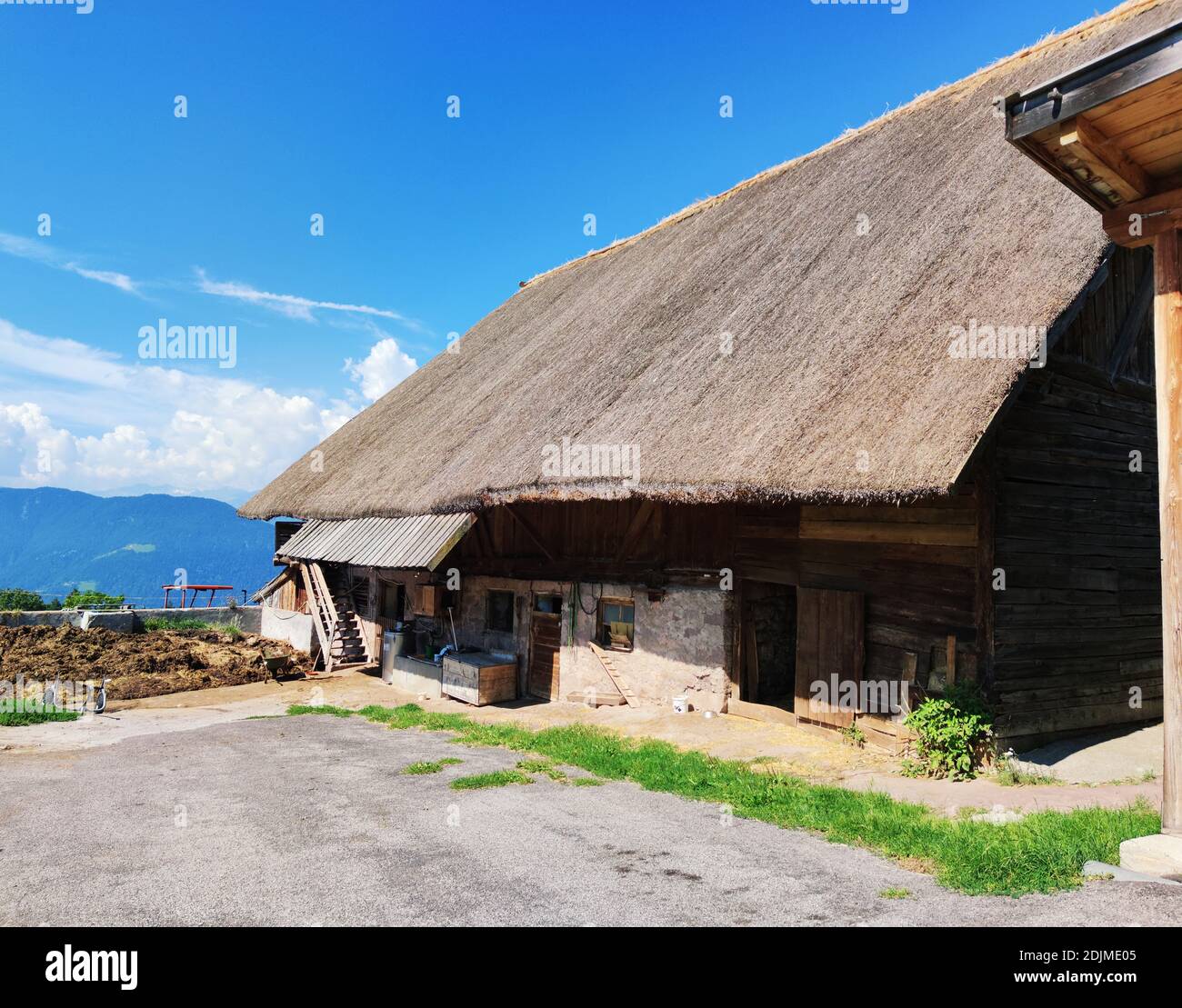 Das Schilfdach auf diesem Südtiroler Stallgebäude in Das Etschtal ist eine landesweite Rarität Stockfoto