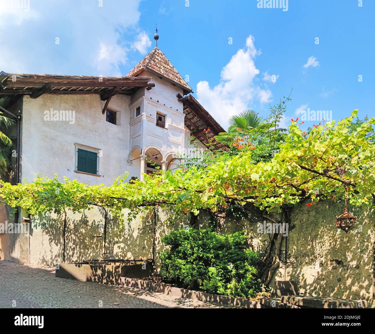 Weinbaubetrieb in Kaltern an der Weinstraße im Süden Tirol Stockfoto