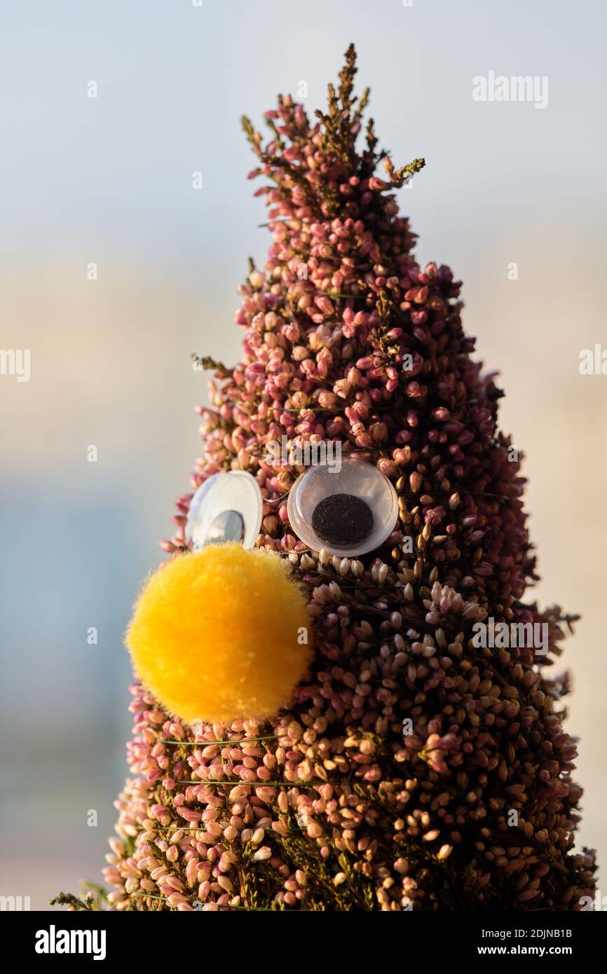 Pflanze pfl Fotos und Bildmaterial in hoher Auflösung Alamy