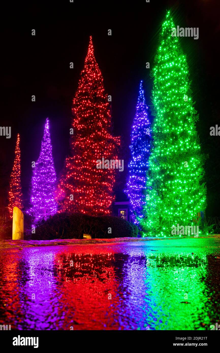 Bunte Weihnachtsbaum Licht Reflexionen - The Village Green, Cashiers, North Carolina, USA Stockfoto