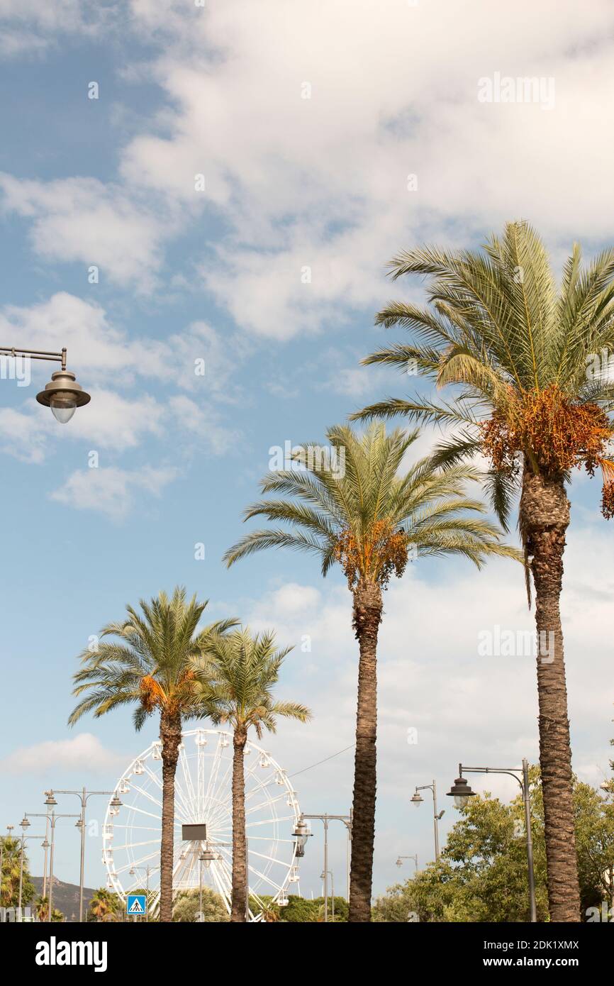 Zentrum von Olbia, Sardinien, Italien, Palmen und Riesenrad auf einer Straße Stockfoto