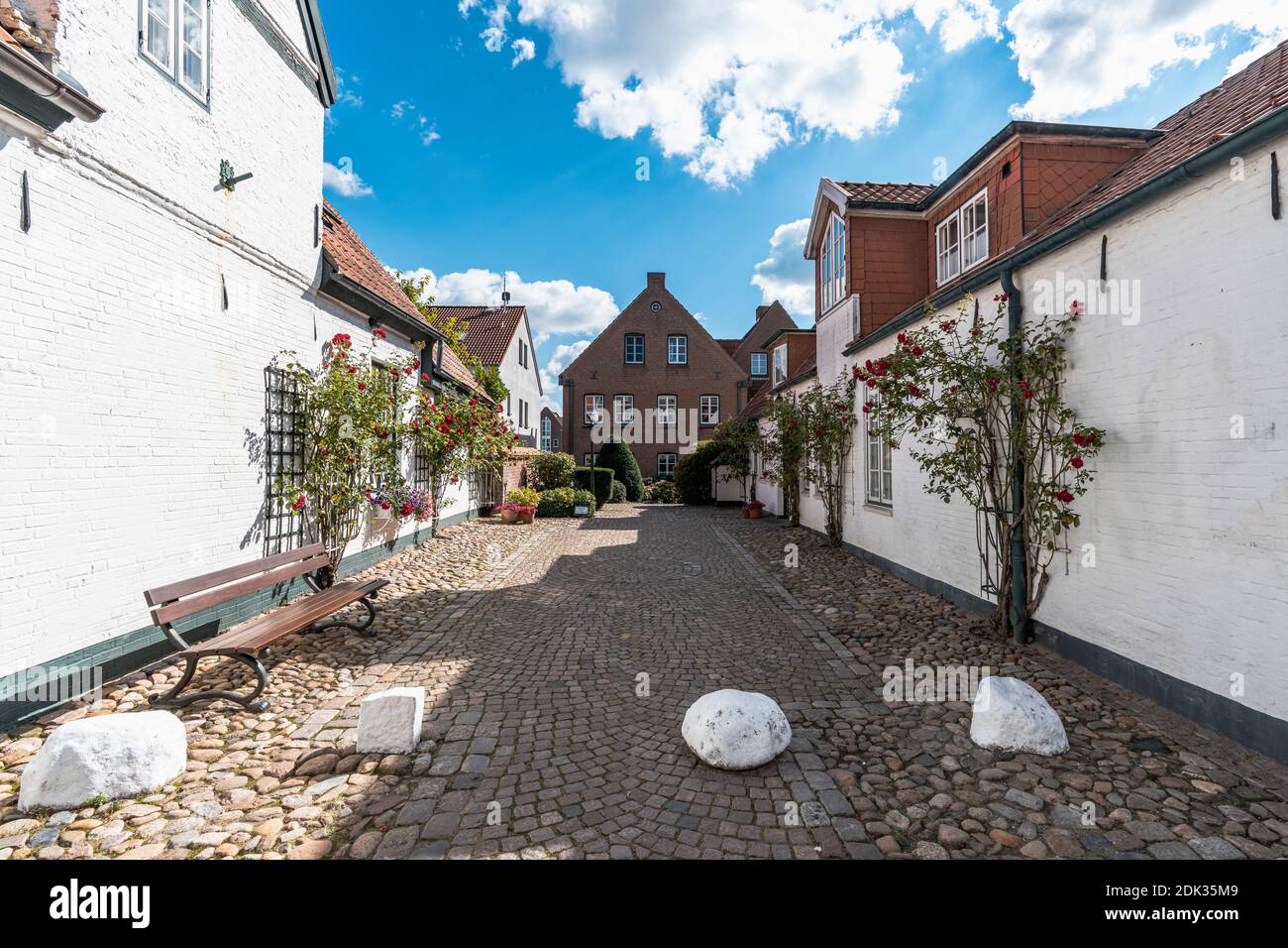 Garten mit Rosen, Altstadt, Stadt Husum, Nordsee, Schleswig-Holstein, Deutschland, Europa Stockfoto