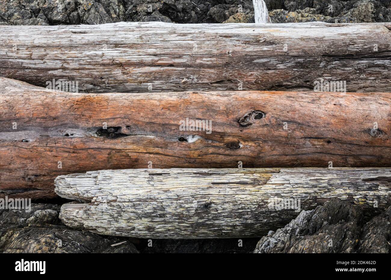 Driftwood-Baumstämme stapelten sich an der felsigen Küste - American Camp National Historical Park, San Juan Island, Washington, USA. Stockfoto