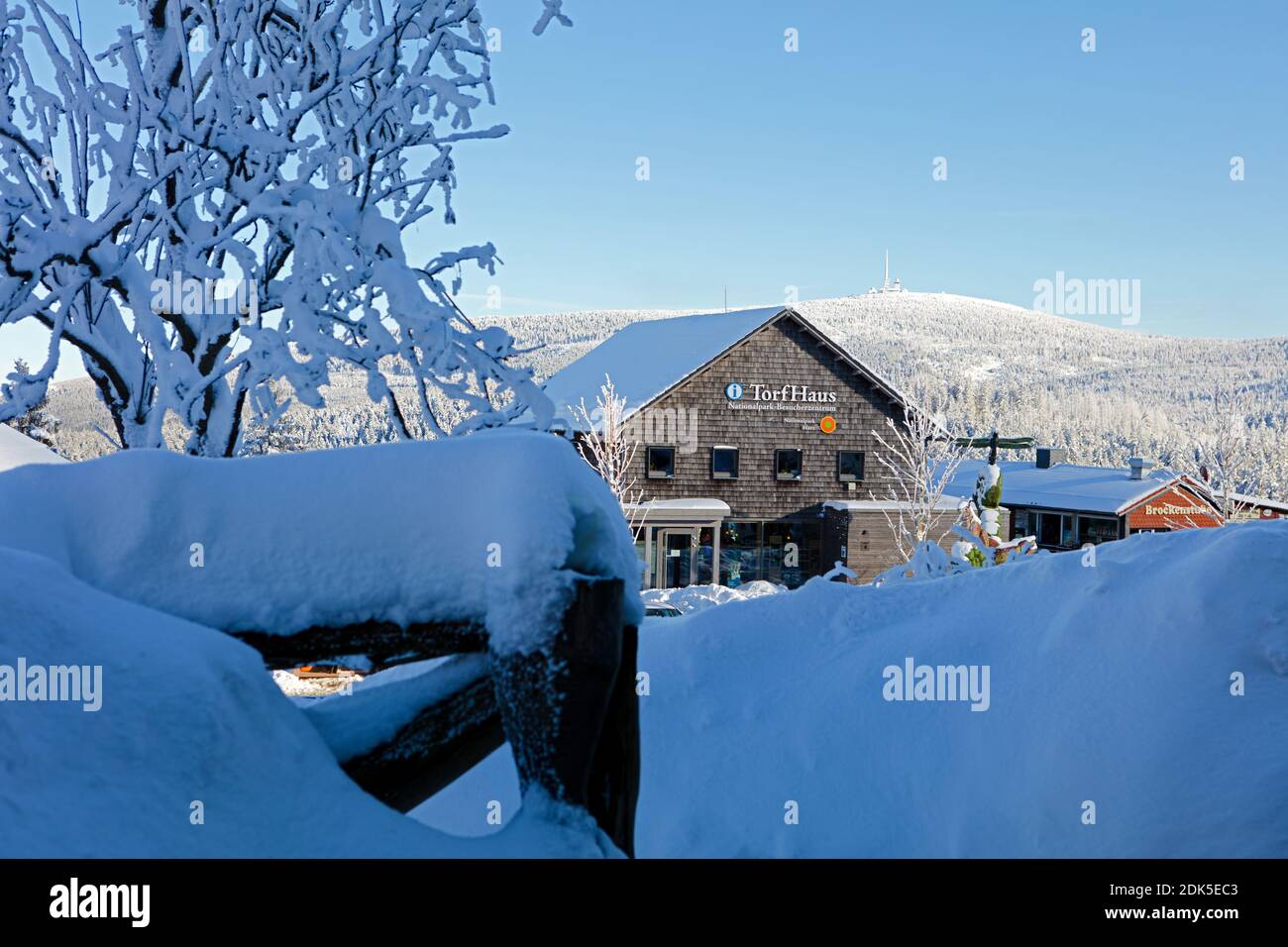 Deutschland, Niedersachsen, Harz, Winterlandschaft im Oberharz bei Torfhaus, Stockfoto