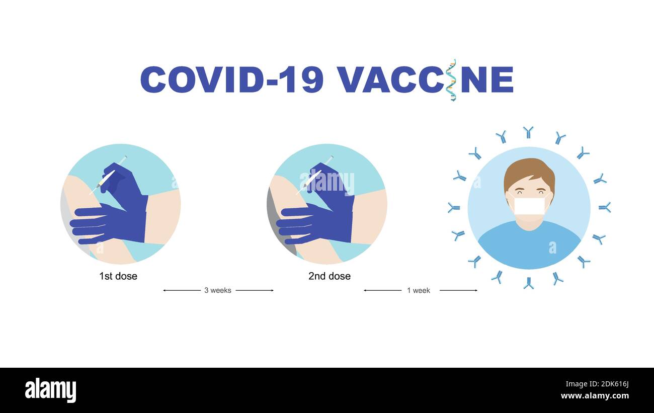 Konzepte des mRNA-Impfstoffes für den Coronavirus-Schutz. Illustration einer Impfstoffinjektion in zwei Dosen und eines Mannes mit Antikörper gegen Covid-19. Stock Vektor