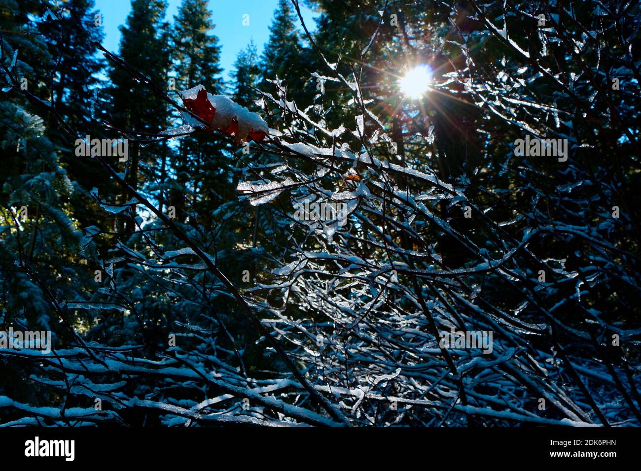 Verschneite Aussicht auf die Berge im Norden kaliforniens Stockfoto