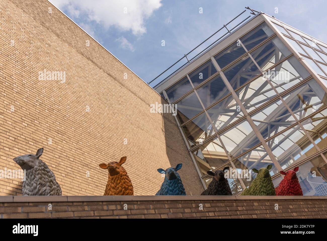 Ein Tag in Holland: Sonnenaufgang im Polder, Citywalk in Dordrecht. Stockfoto