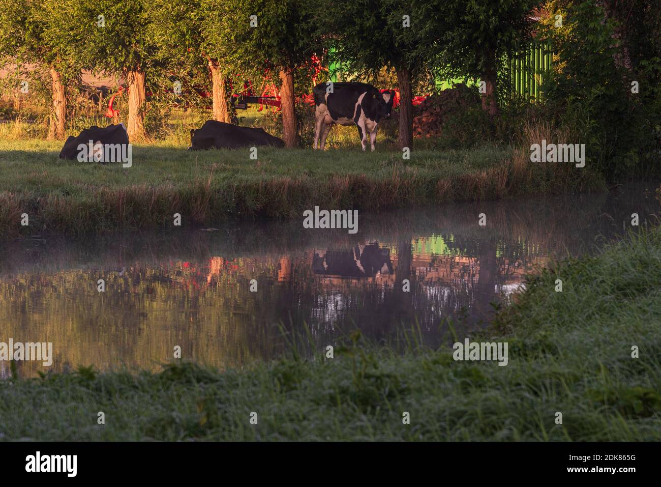 Ein Tag in Holland: Sonnenaufgang im Polder, Citywalk in Dordrecht. Stockfoto