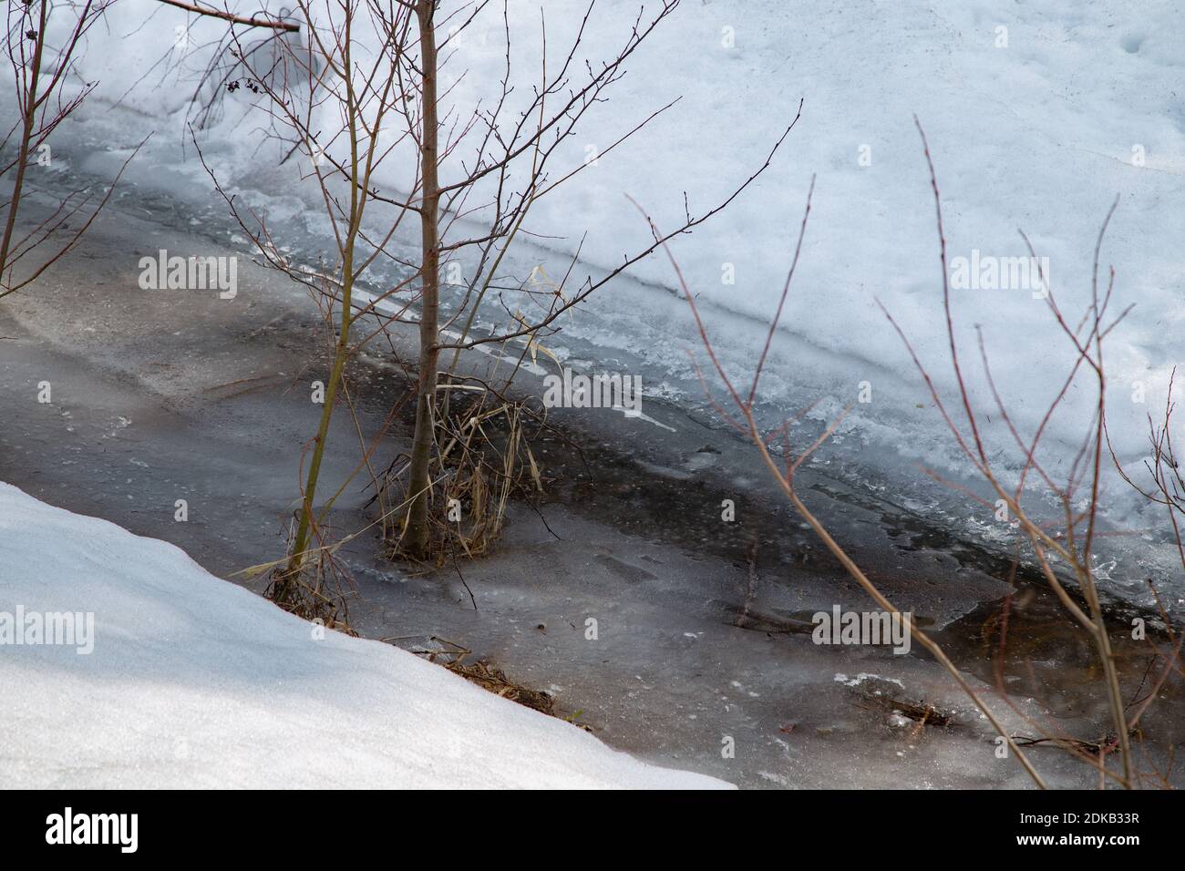 Bild von geschmolzenem Schnee an einem sonnigen frühen Frühlingstag Stockfoto