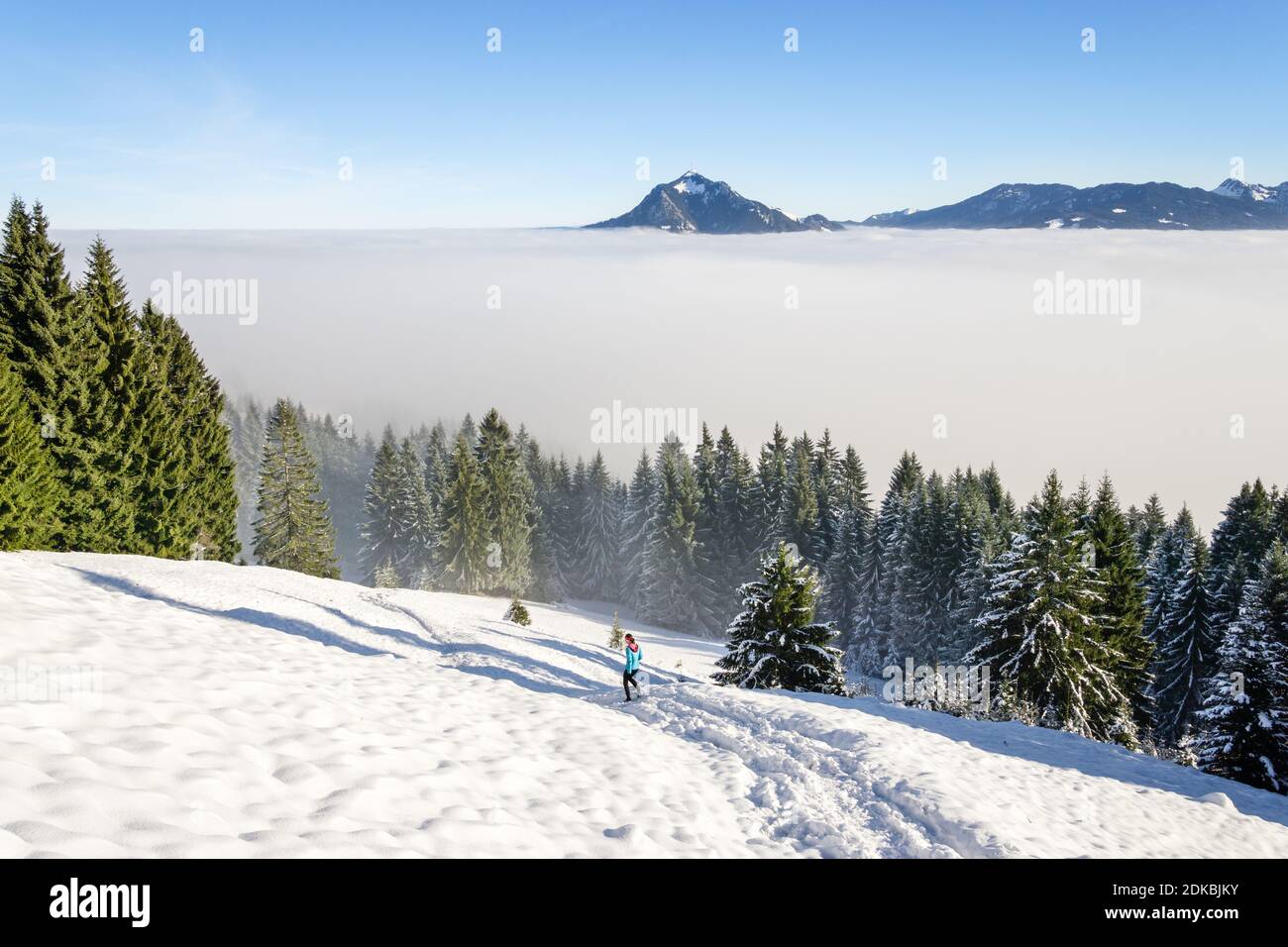 Gesunde Frau Langlauf in erstaunlichen Winter Berglandschaft mit tiefen Schnee und Waldbäumen. Weibliche Trailrunnerin beim Joggen über der Umkehrung Stockfoto