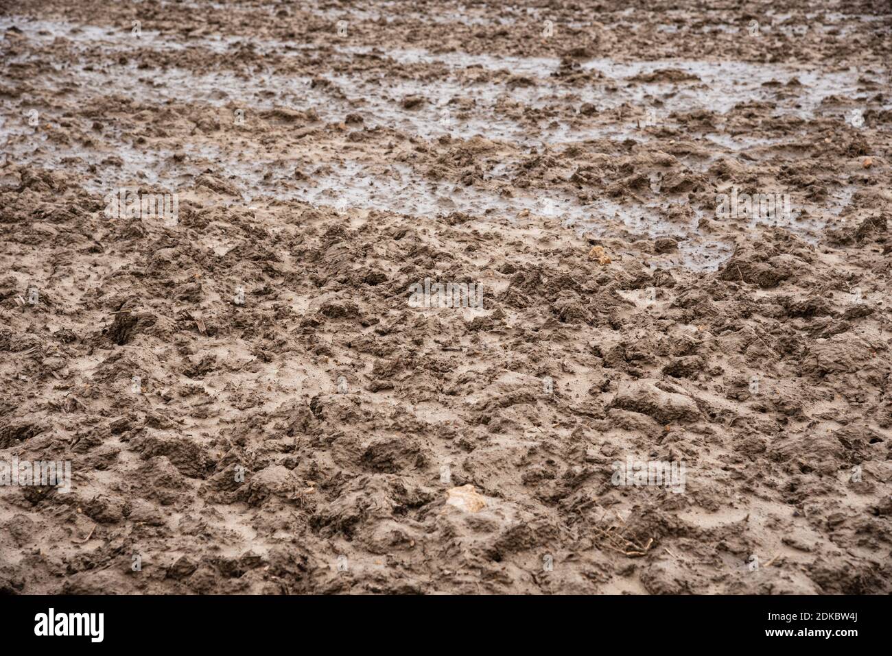 Gepflügte Feld nach Regen. Schlammiges nasses Gelände. Bebautes Ackerland Hintergrund. Agrarkonzept. Stockfoto