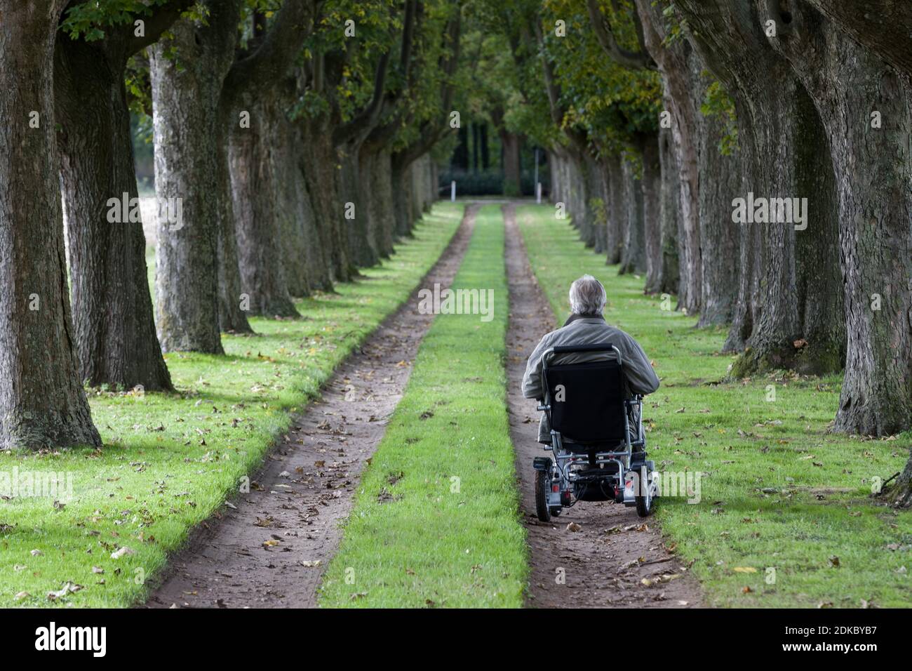 Rollstuhlfahrer in einer Allee, Varel, Kreis Friesland, Niedersachsen Stockfoto