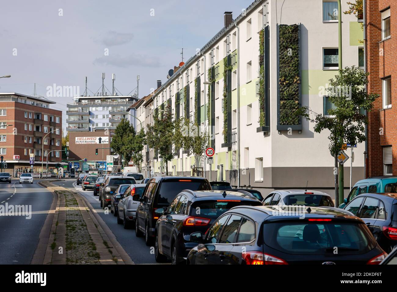 Essen, Ruhrgebiet, Nordrhein-Westfalen, Deutschland - wandgebundene Fassadenbegrünung an frisch renovierten Wohngebäuden des Wohnungsbauverbands Allbau an der belebten B224 Gladbecker Straße in Altenessen filtern die mit Stauden, Gräsern und Kleinholz bepflanzten vertikalen Gärten Schadstoffe aus der Luft und verbessern das städtische Klima. Stockfoto