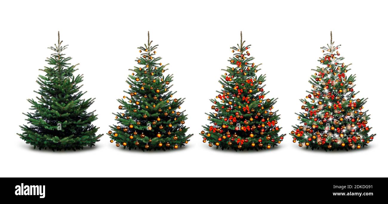 Vier Weihnachtsbäume - geschmückt und geschmückt Stockfoto
